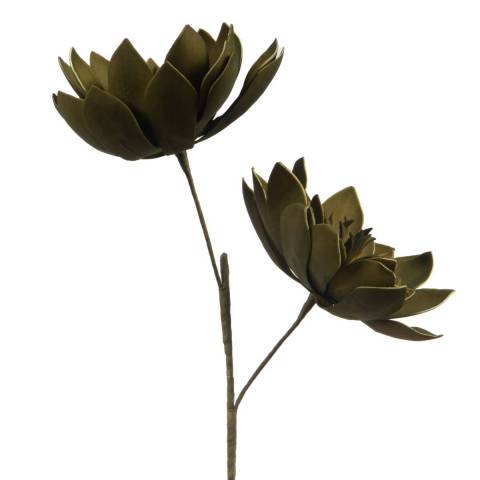 Fleur Lana kaki