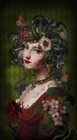 Tenture Medusa