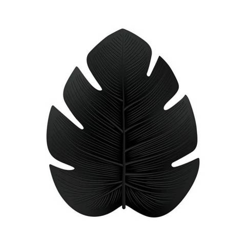 Dessous de verre Fidji Noir