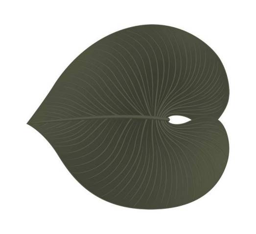 Set de table Sava Vert